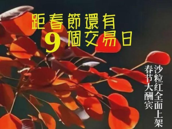 开云(中国)Kaiyun·官方网站 - 登录入口报19044.39点； 标普涨6.69点-开云「中国